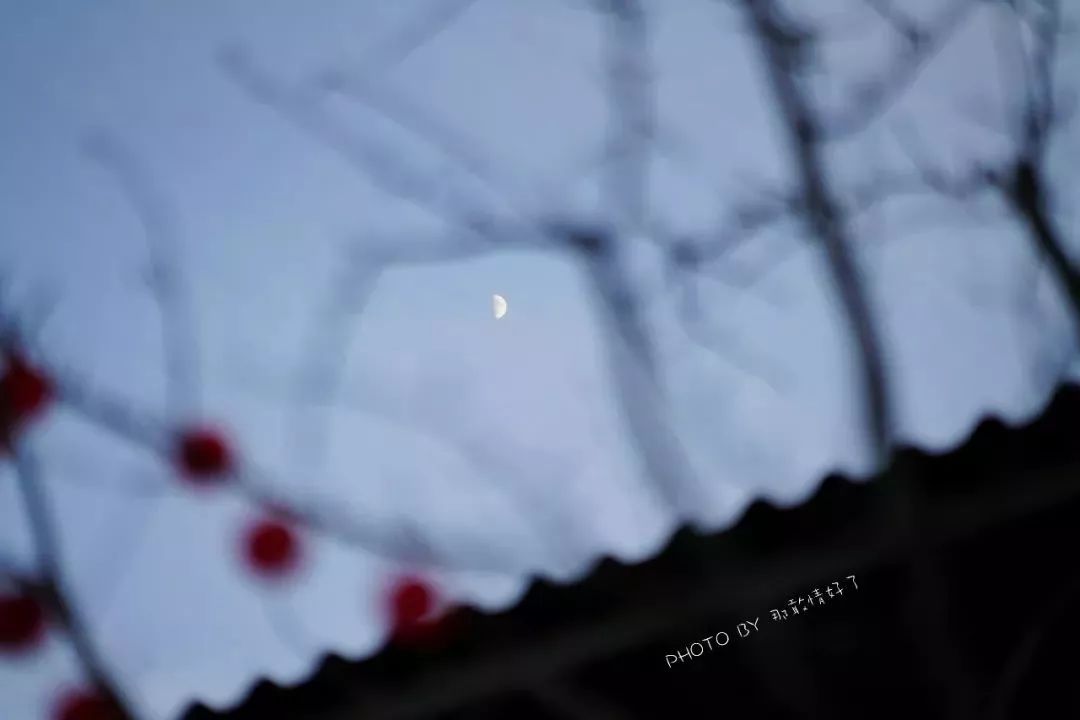 故宫北边的胡同里藏着本地人都不知道秘境酒店,外国人抢着住