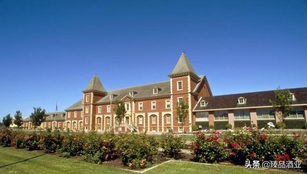 浙江臻品红酒价格,奔富酒庄的特点