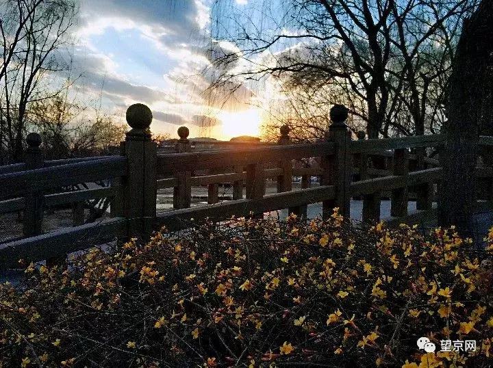 【今日望京】东湖地区成人乙肝疫苗接种通知；望湖公园早春花开