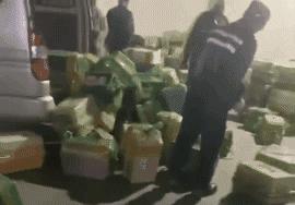 小猫咪托运怎样才最安全,如何托运小猫咪