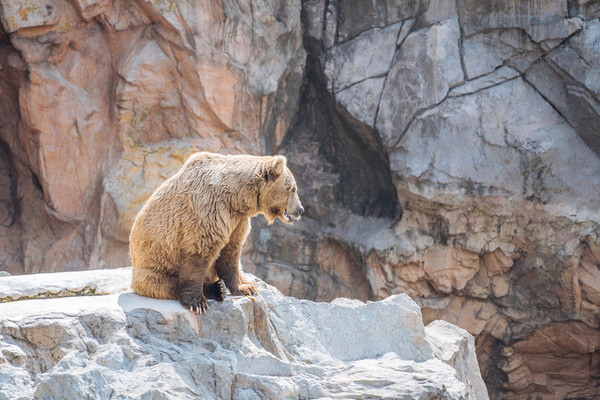珠海长隆旅游攻略一天自由行,珠海长隆旅游攻略三天自由行