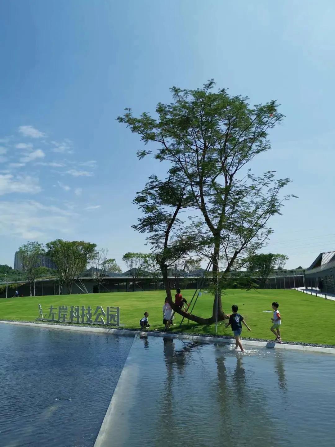 蝶变茅洲河，遇见城之美/同济设计TJAD