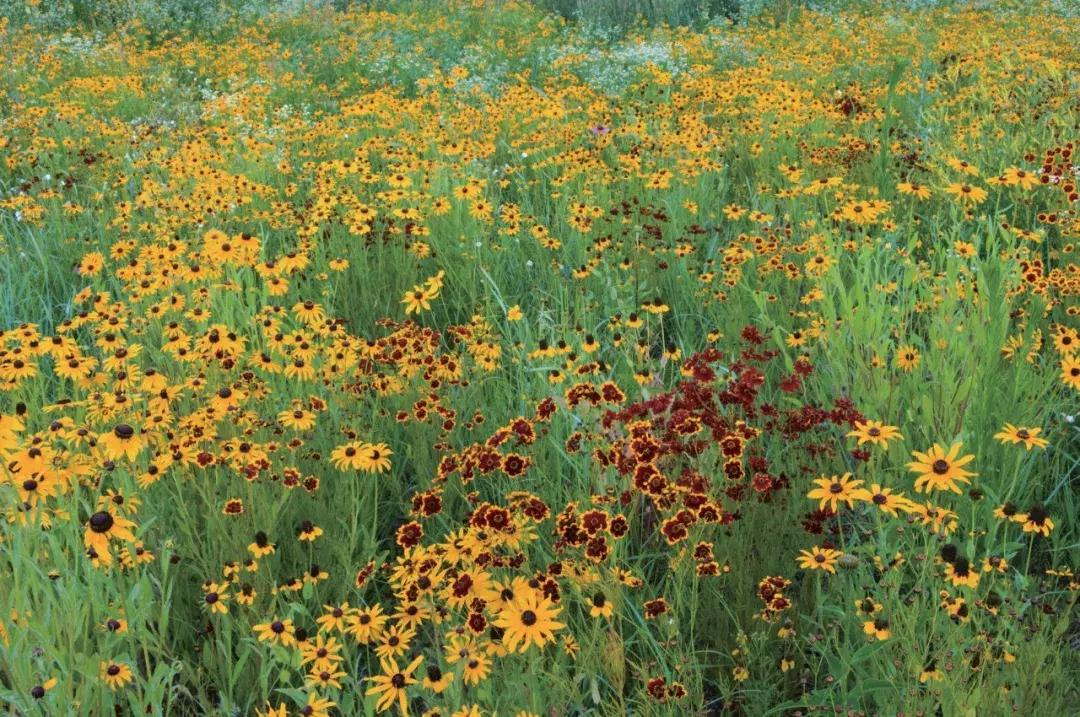 摄影的“形散神聚”，你绝对从没听过