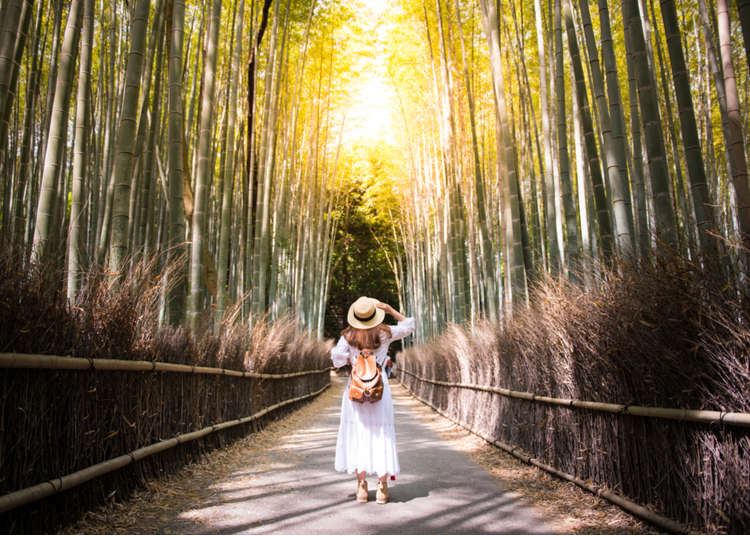 日本轻游记视频,日本轻旅