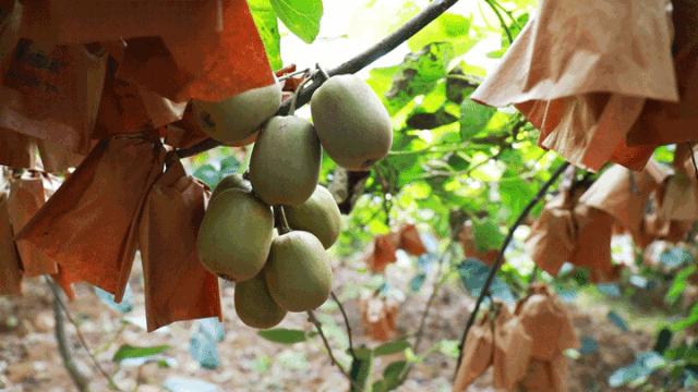 閬傛槍閫傚悎绉嬪ぉ鍘荤殑鍦版柟,閬傛槍鏃呮父缇庢櫙
