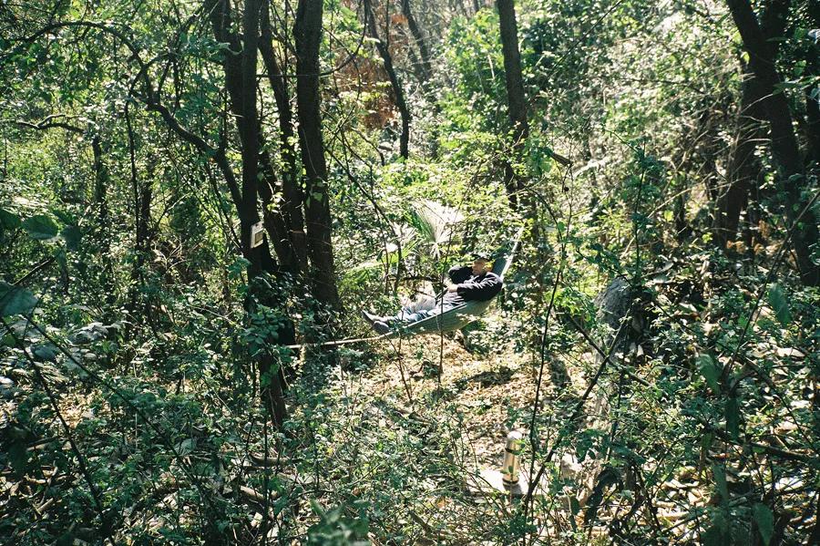 杭州凤凰山爬山最佳路线图,杭州百寿山景区