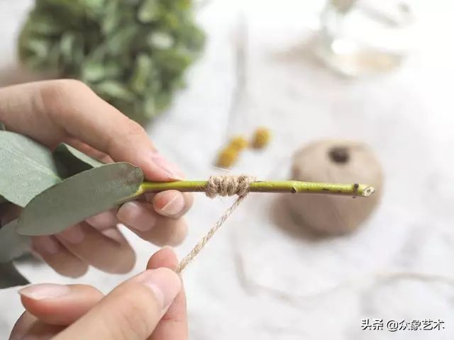 干花布置省钱,什么花适合做干花