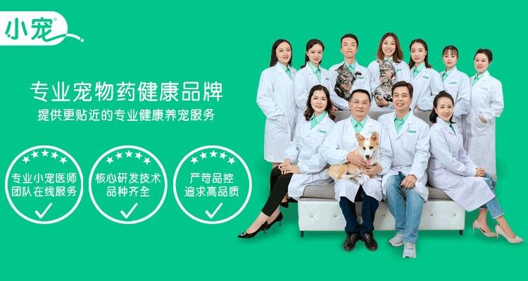 宠物狗长痘痘是怎么引起的,狗狗长痘痘有脓掉毛