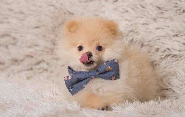 美工专业薪资,美工为什么工资那么高