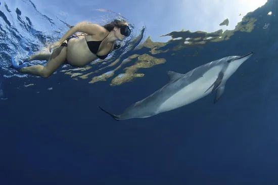 孕中期是否可以游泳,孕中期可以去游泳池游泳吗