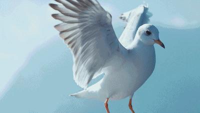 鏂颁簹娲蹭綋鑲插煄杩愬姩鏄ュ煄,椋庡皻涔嬭