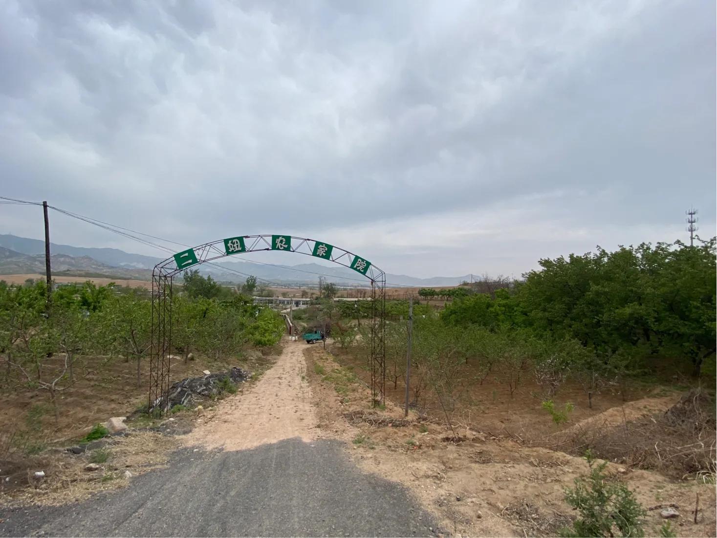 【7/5】29、搬倒井后太爷墓