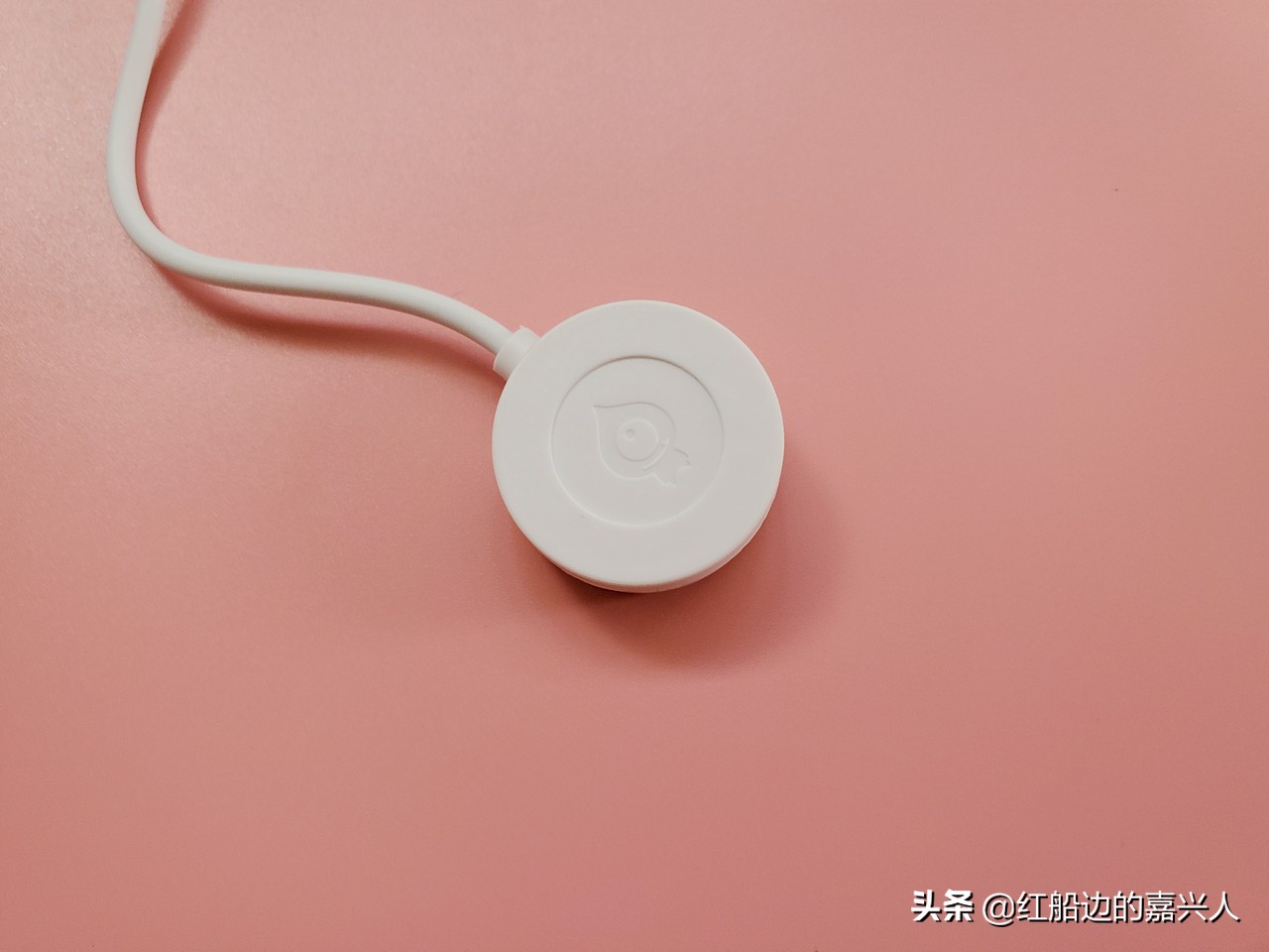 小水怪智能降温杯怎样,摇摇智能降温杯