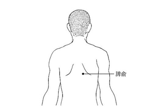 慢性支气管炎要天天用药吗,慢性支气管炎可以吃中药调理吗