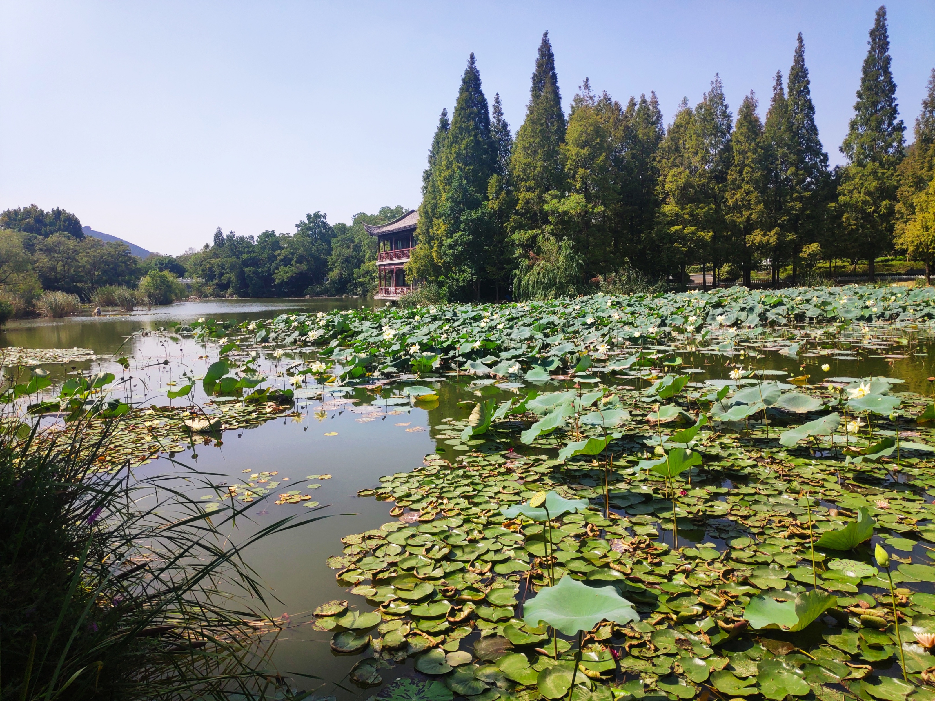 徐州彭祖楼和彭祖园,彭祖园石雕