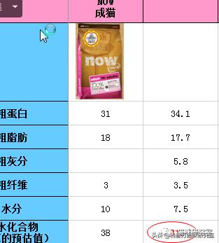 now猫粮和go猫粮,猫粮分析