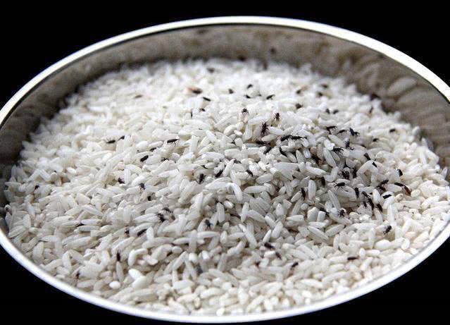 家里买的大米多了如何保存,家里大米容易受潮长虫怎么收藏