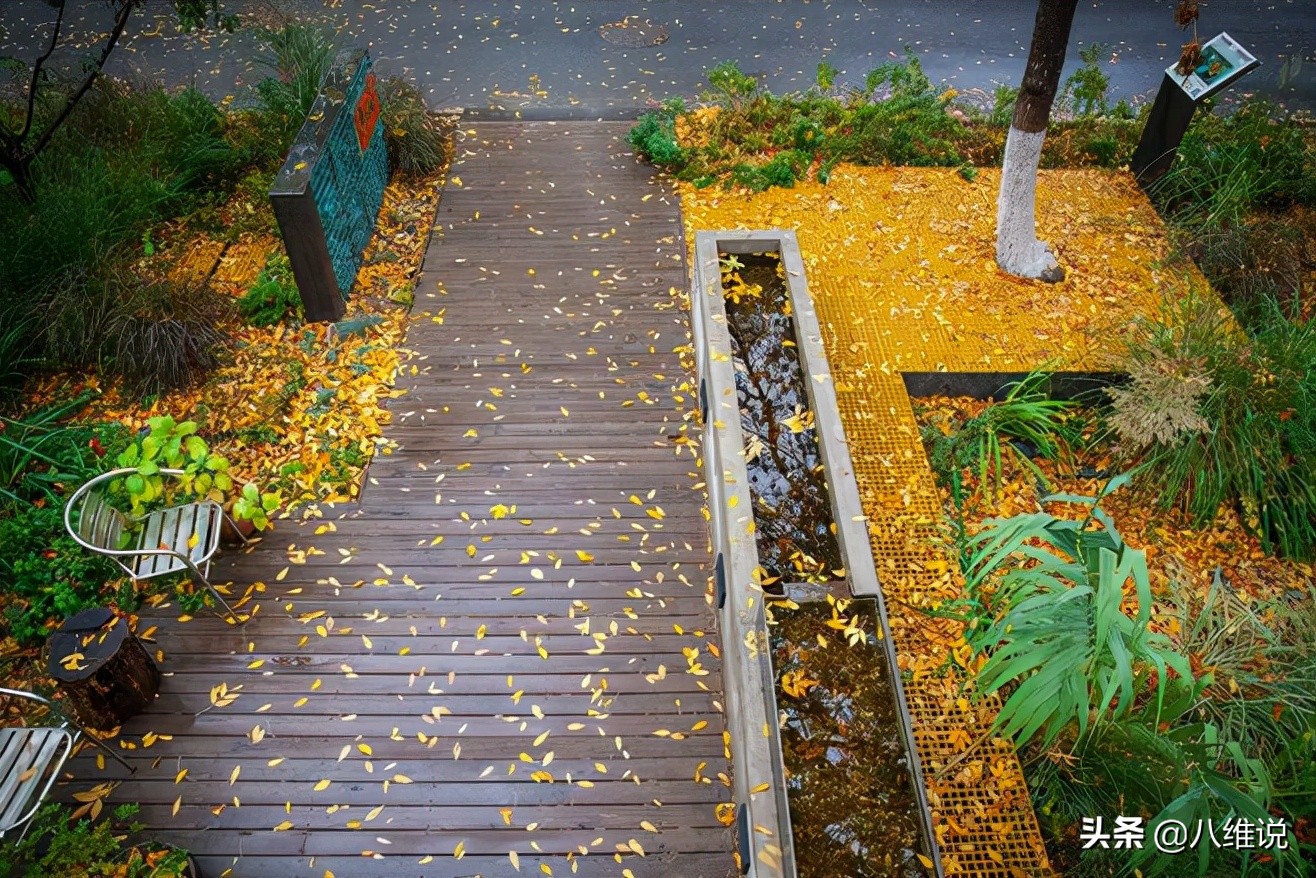 找工作不要只盯着boss直聘,找工作不要盯着工资看