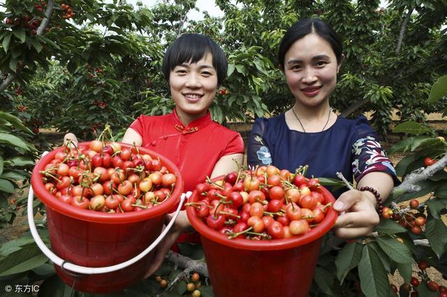 三农领域优质作品推荐表,三农领域怎么选择标题封面