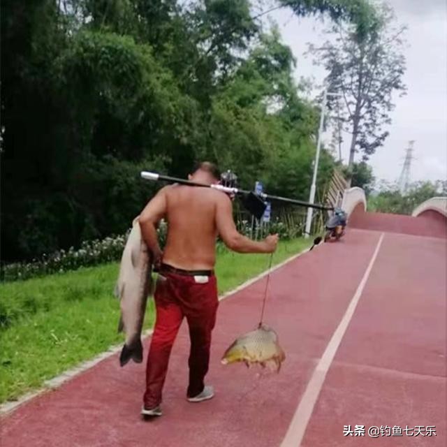 江西男子发视频炫耀江豚,男子炫耀渔获下一秒救落水三轮