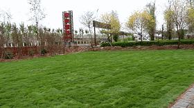 太原农家乐烧烤,山西有山有水的可以烧烤民宿