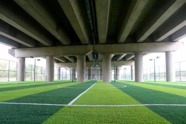 看！门前大桥下，运动场一片片冒出来，你去打卡了吗