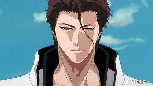 死神护庭十三番队详细介绍,死神护庭十三队长