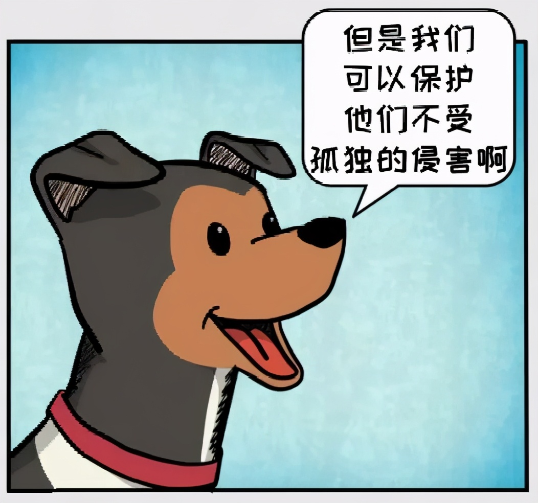 猫和铲屎官漫画全集,铲屎官和狗子的漫画