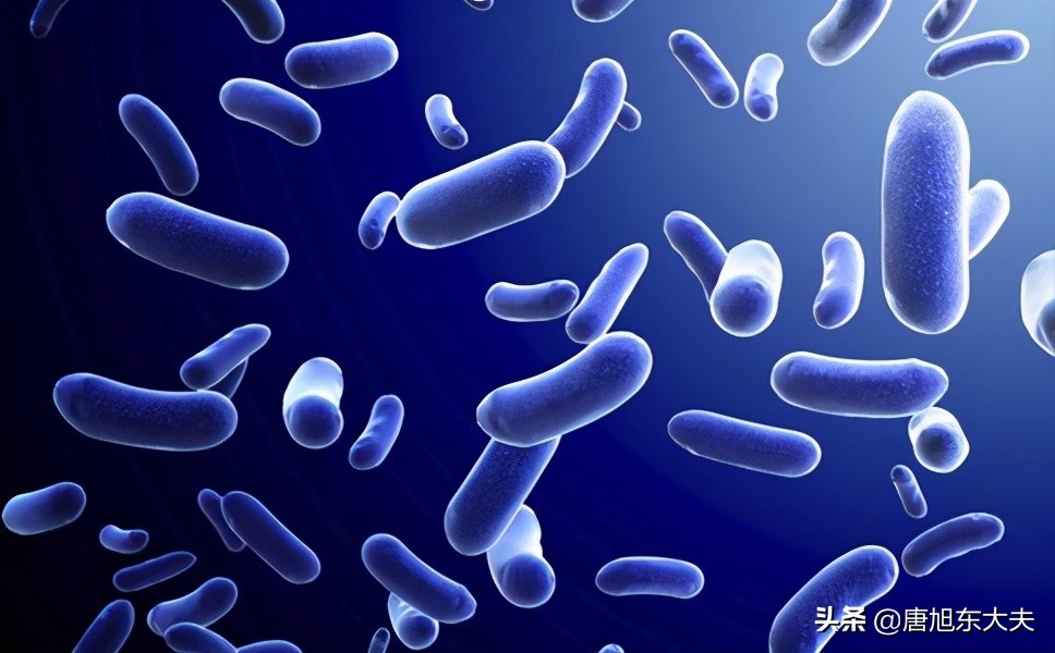 幽门螺杆菌会导致血小板增多吗,幽门螺杆菌免疫性血小板减少