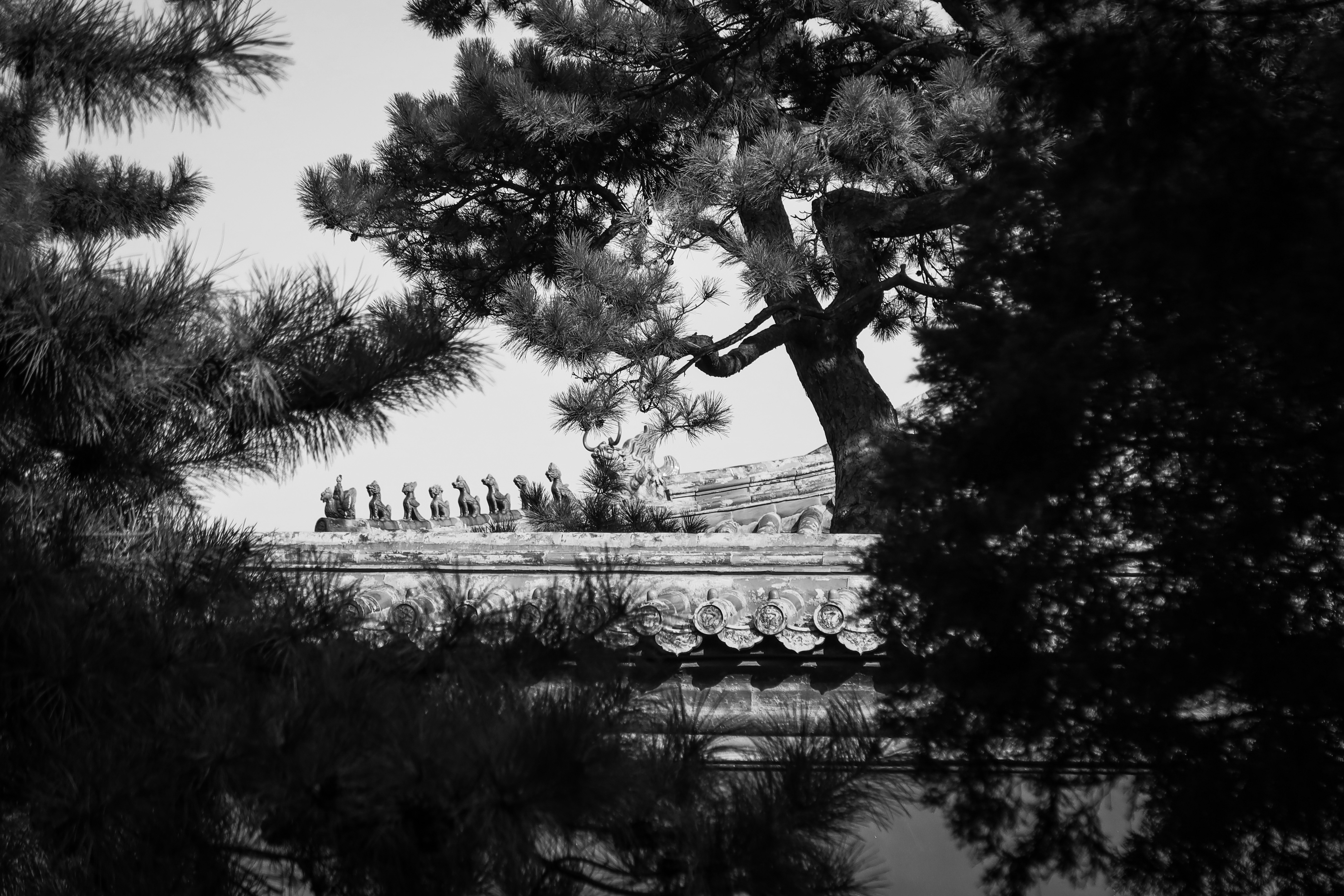 佳能g5xmarkii评测,佳能powershotg5随手拍