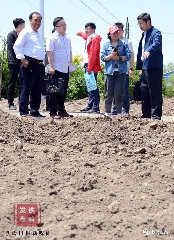 决战决胜驻村帮扶,驻村工作队全力决战决胜脱贫攻坚