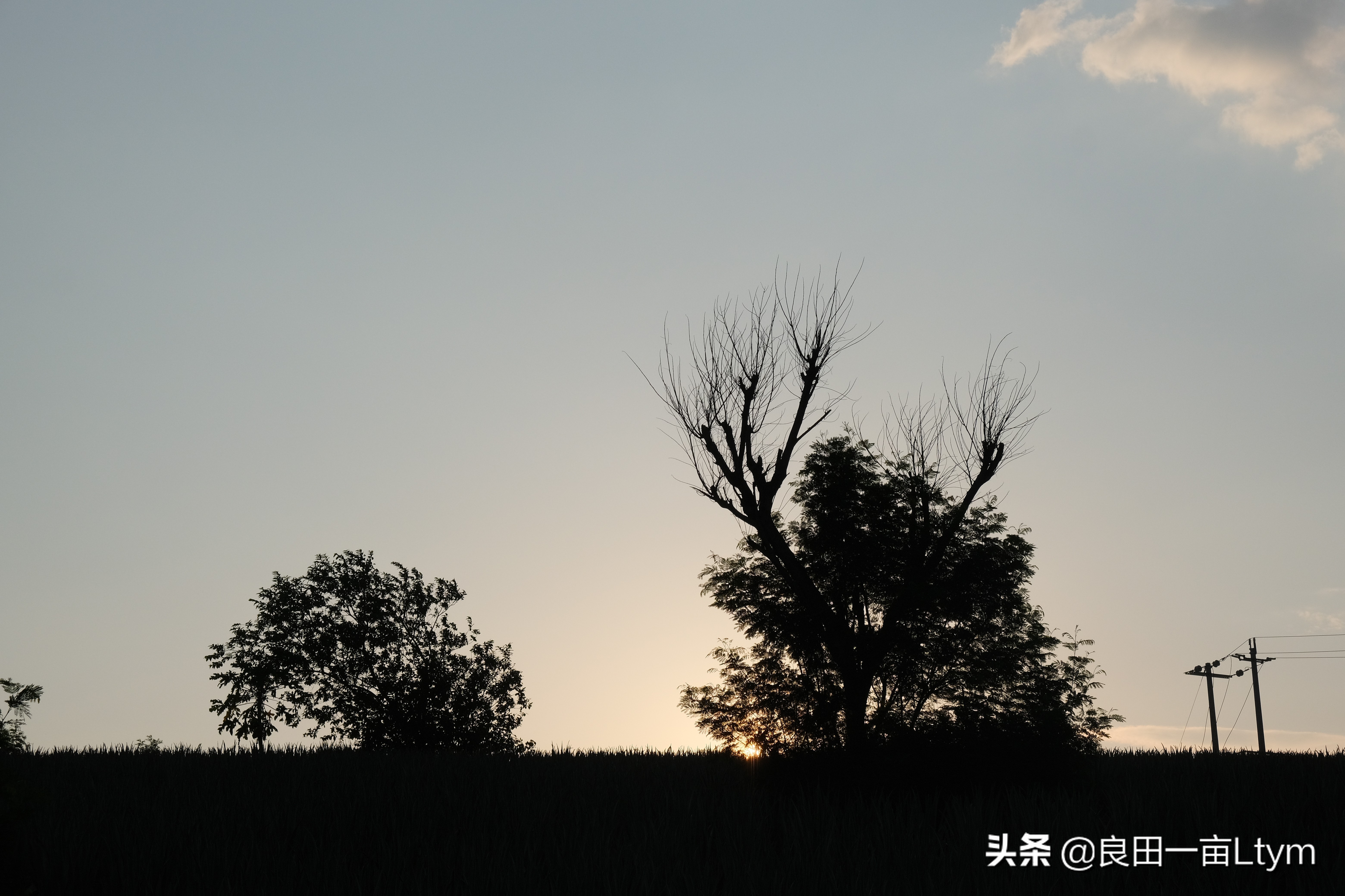 云南天然芦荟护肤品舒缓调理 (云南元江万亩芦荟基地的芦荟水)