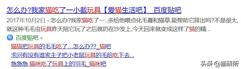 哪些猫咪玩具对小猫有害 (对猫咪有益的玩具)