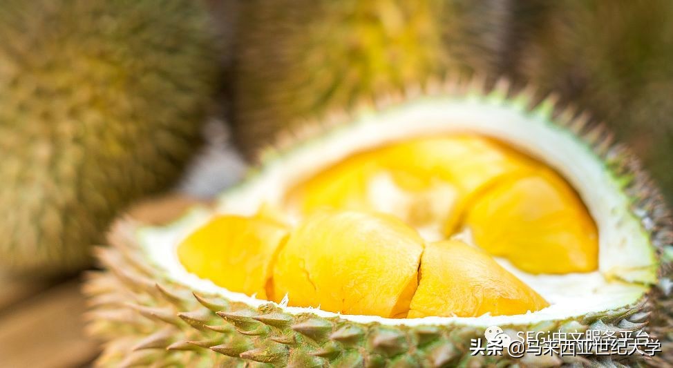 马来西亚榴莲品种大全,马来西亚d14榴莲是什么品种