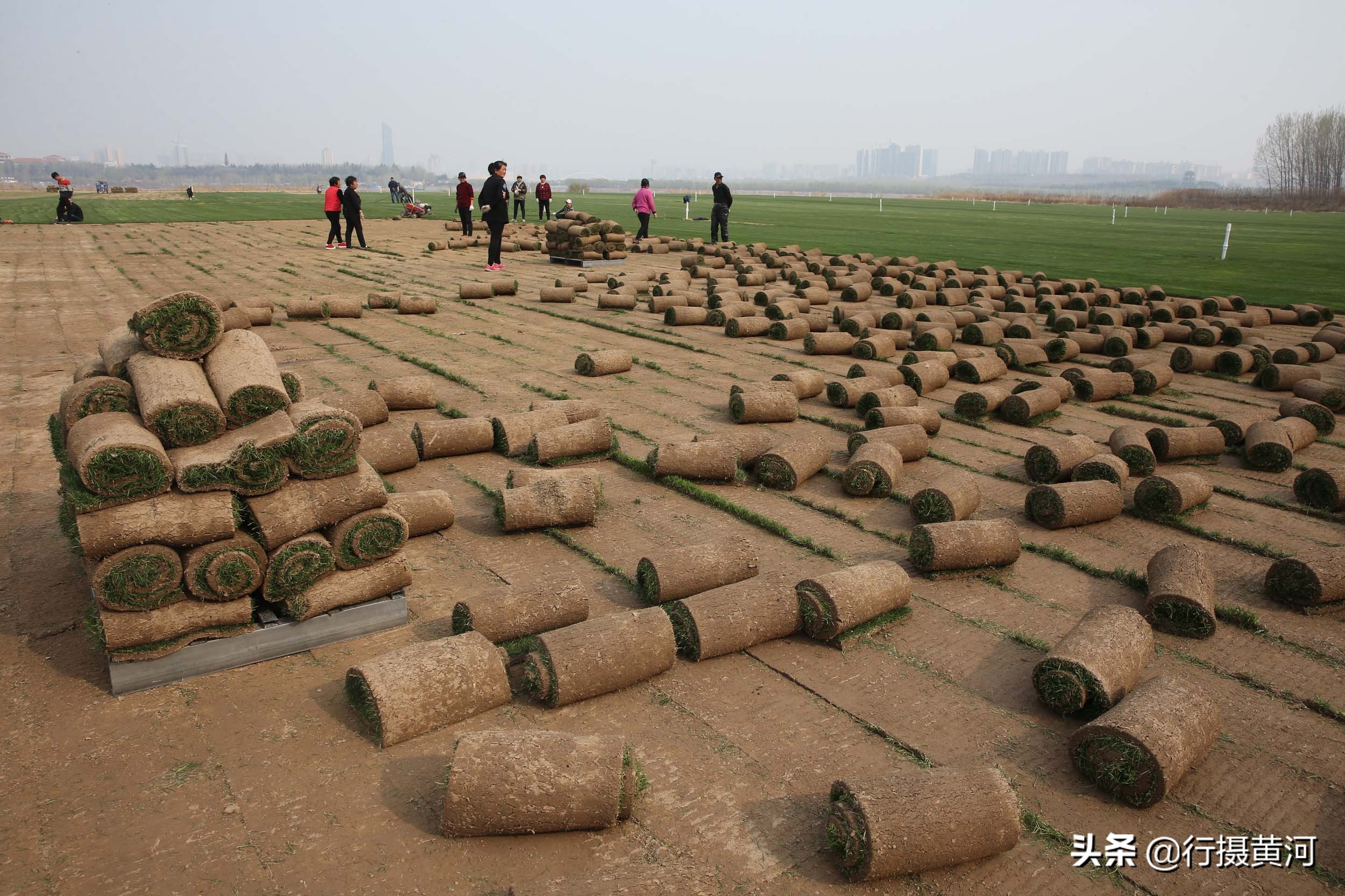 河南一小伙不务正业,小伙不务正业就想卖房卖地