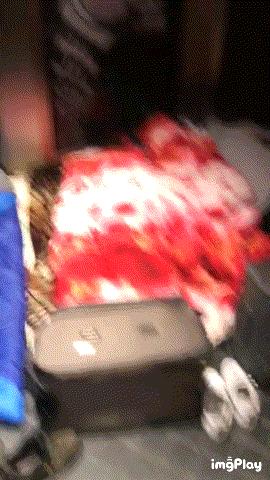 怎么加入韩国代购刷货团队,深扒各行业