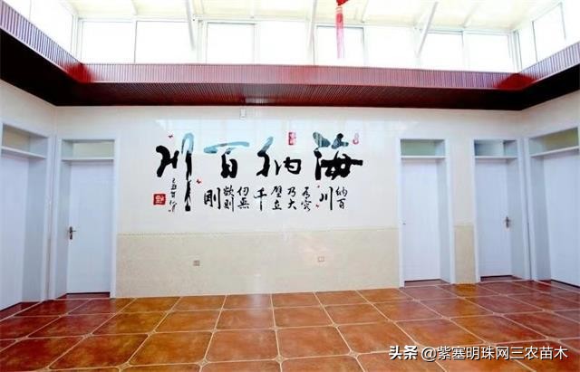 爱上一座城爱上一个人短视频,长岛大壮渔家民宿团购