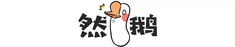 为什么要捕杀鲸鱼?日本人:不是为了吃,这是传统文化