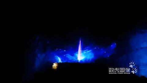 属虎,数虎图像深圳