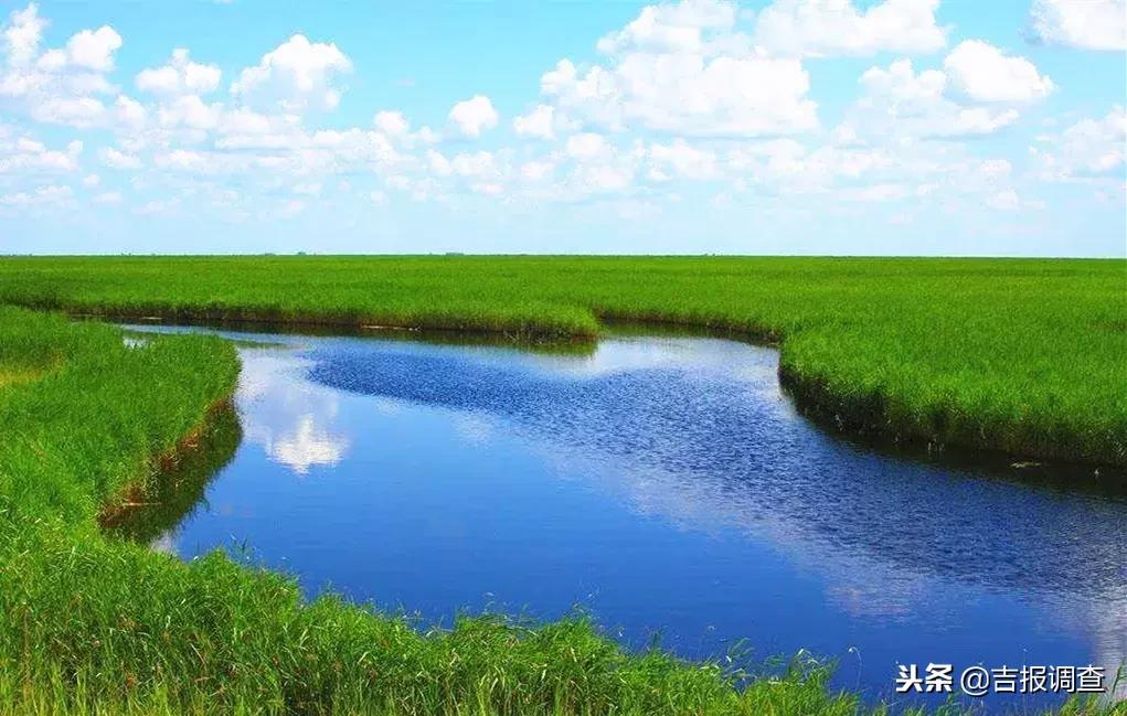有关如何实现乡村振兴的范文,如何使自己家乡实现乡村振兴目标