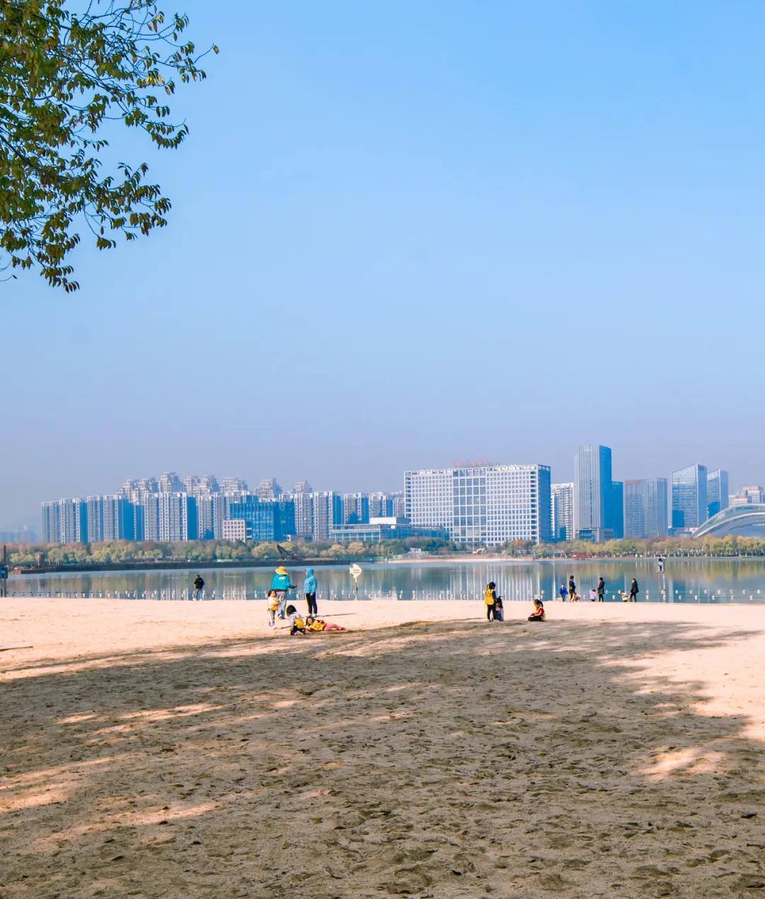 合肥市政务区的天鹅湖介绍,合肥天鹅湖设计