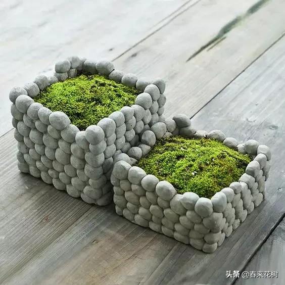 花盆里的杂草到底要不要拔,花盆里的杂草应当拔掉还是剪掉