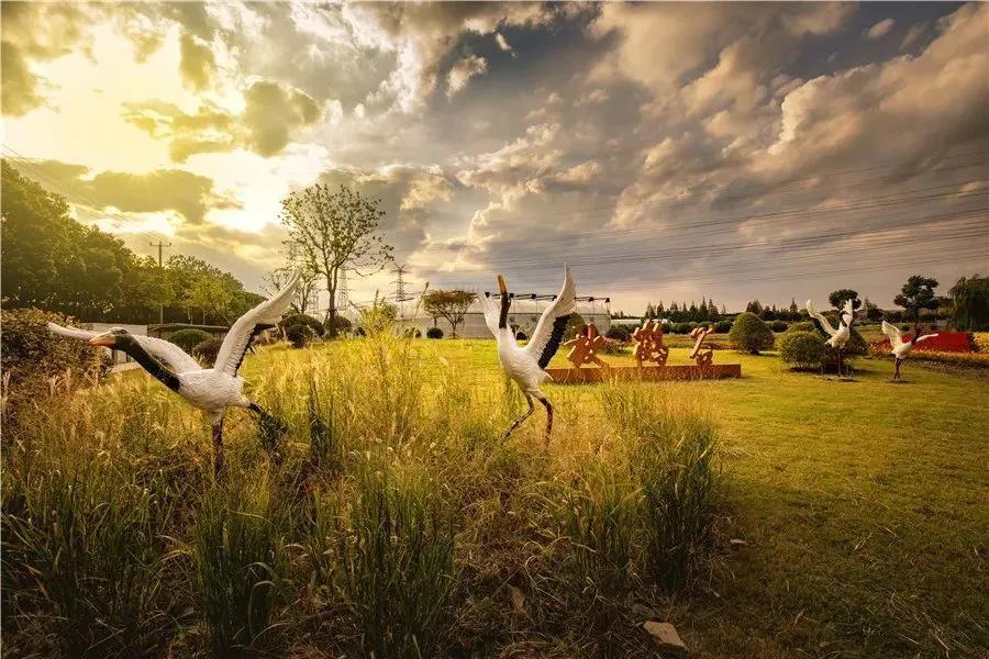 上海闵行紫竹半岛兰香湖新楼盘,紫竹半岛兰香湖