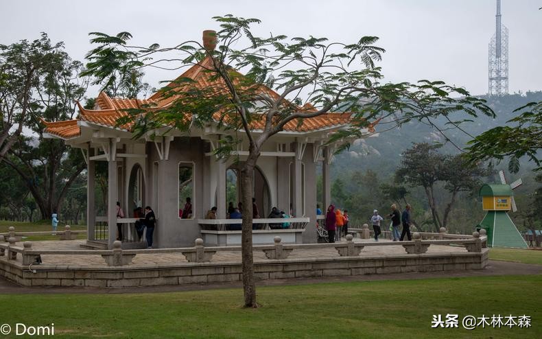 珠海两天一夜旅游景点,珠海港珠澳大桥观光一日游