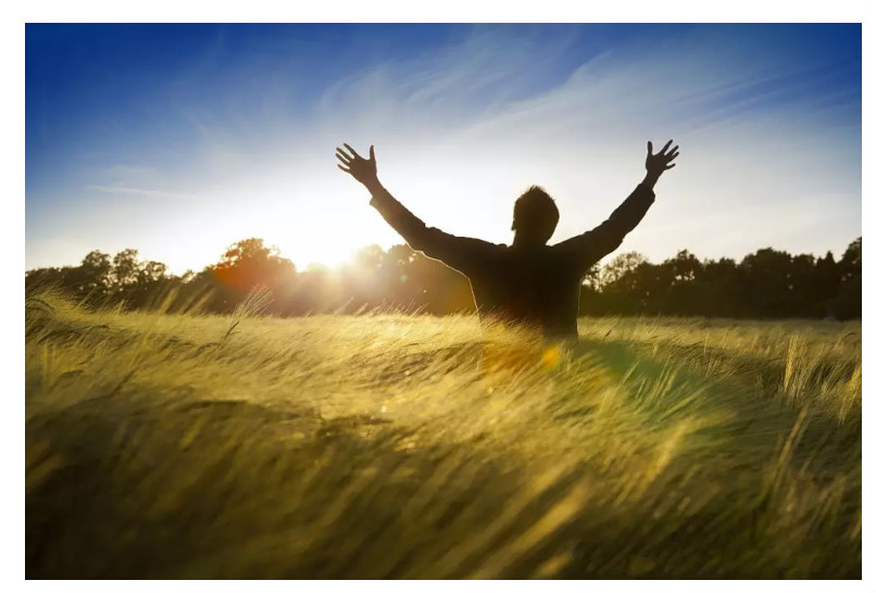 佛州程序员的收入,佛系工资一般多少