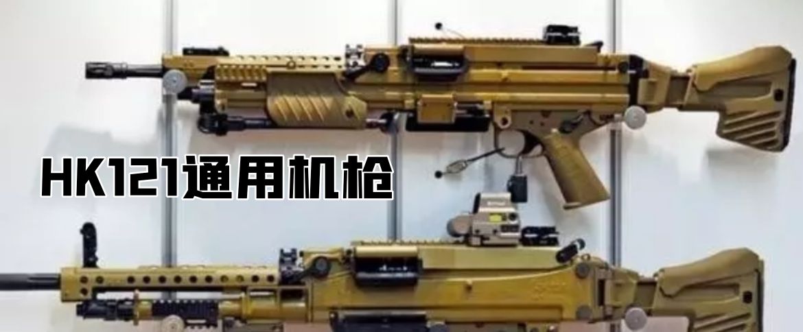 英国枪史图册全篇,德国枪图片