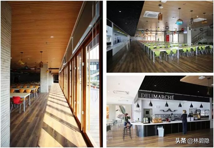 上海最贵的贵族学校,上海最贵学校排名前十