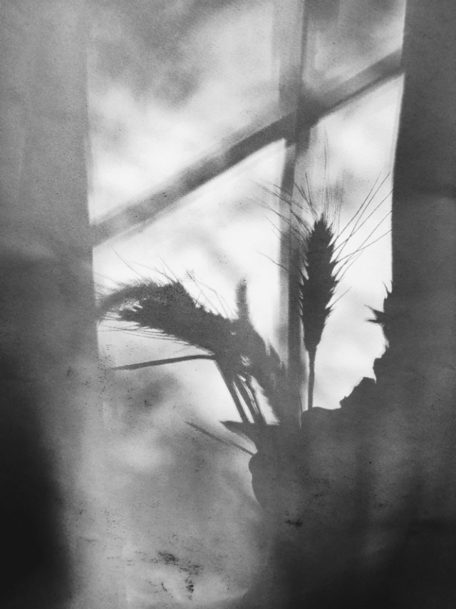 瞬间时空后续,瞬间时空