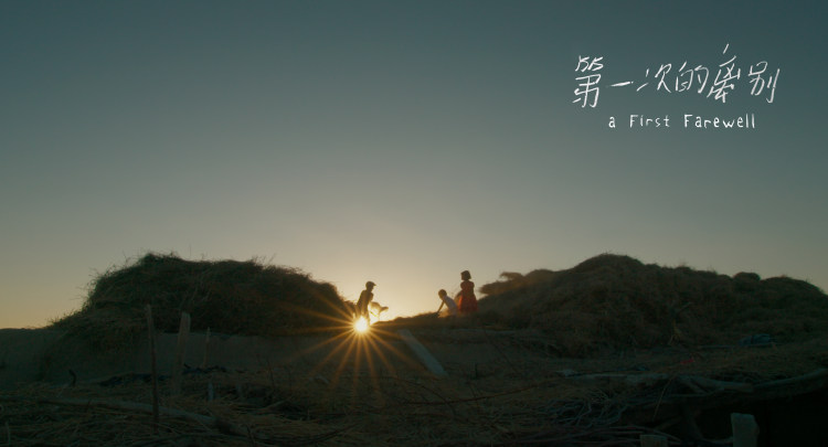 柏林苍穹下电影插曲,柏林苍穹下剧情解析