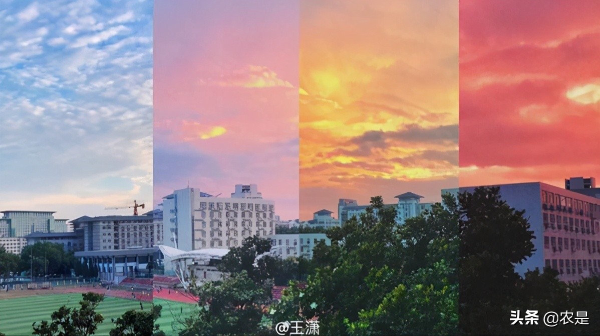 余祖功，南京农业大学教授、博导，兽药新制剂研发专家